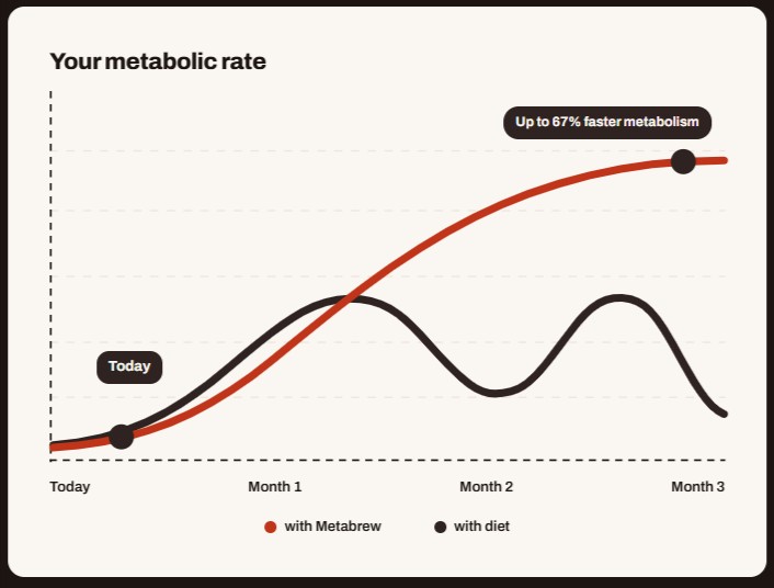 Metabrew Coffee timeline